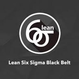 Lean Six Sigma Black Belt (LSSBB™) Course & Certification - physical class
